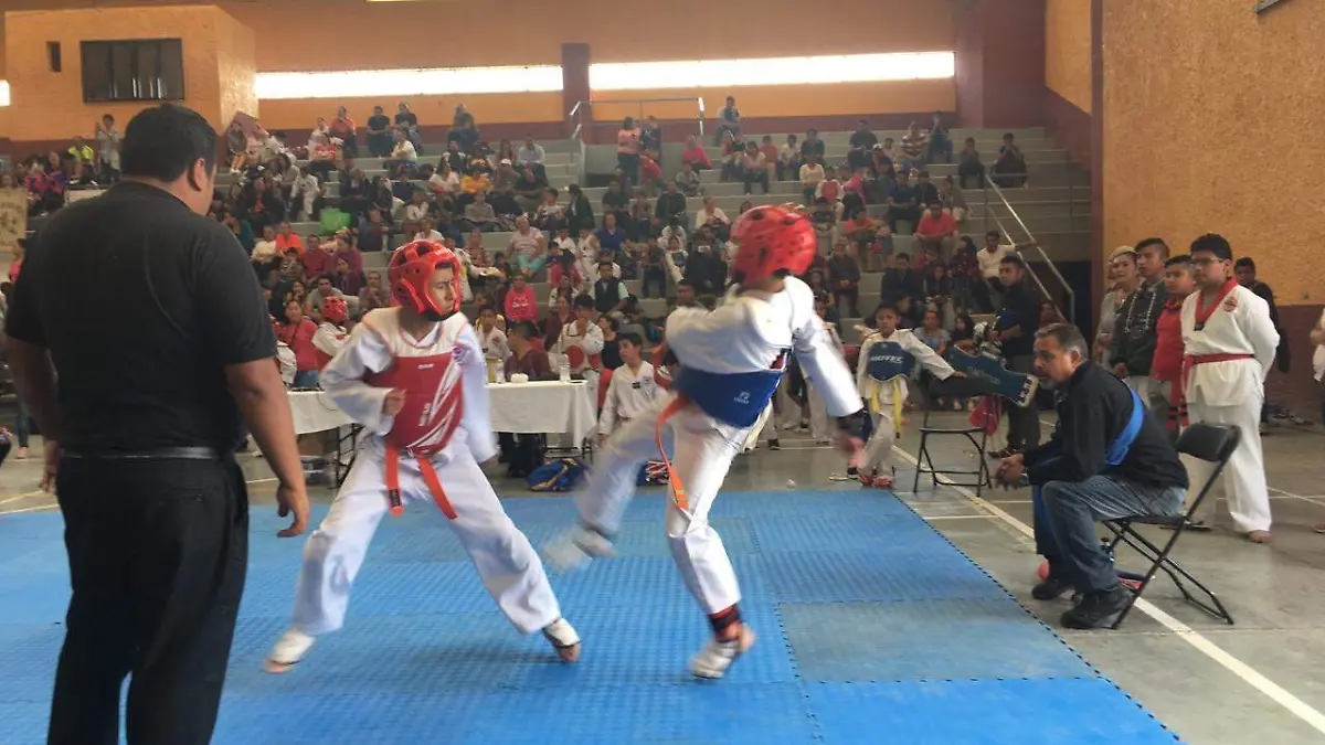 LOS COMBATES